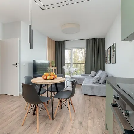 Wieniawskiego Apartment With Balcony Stacja Lodz Estate By Noclegi Renters Esterno foto